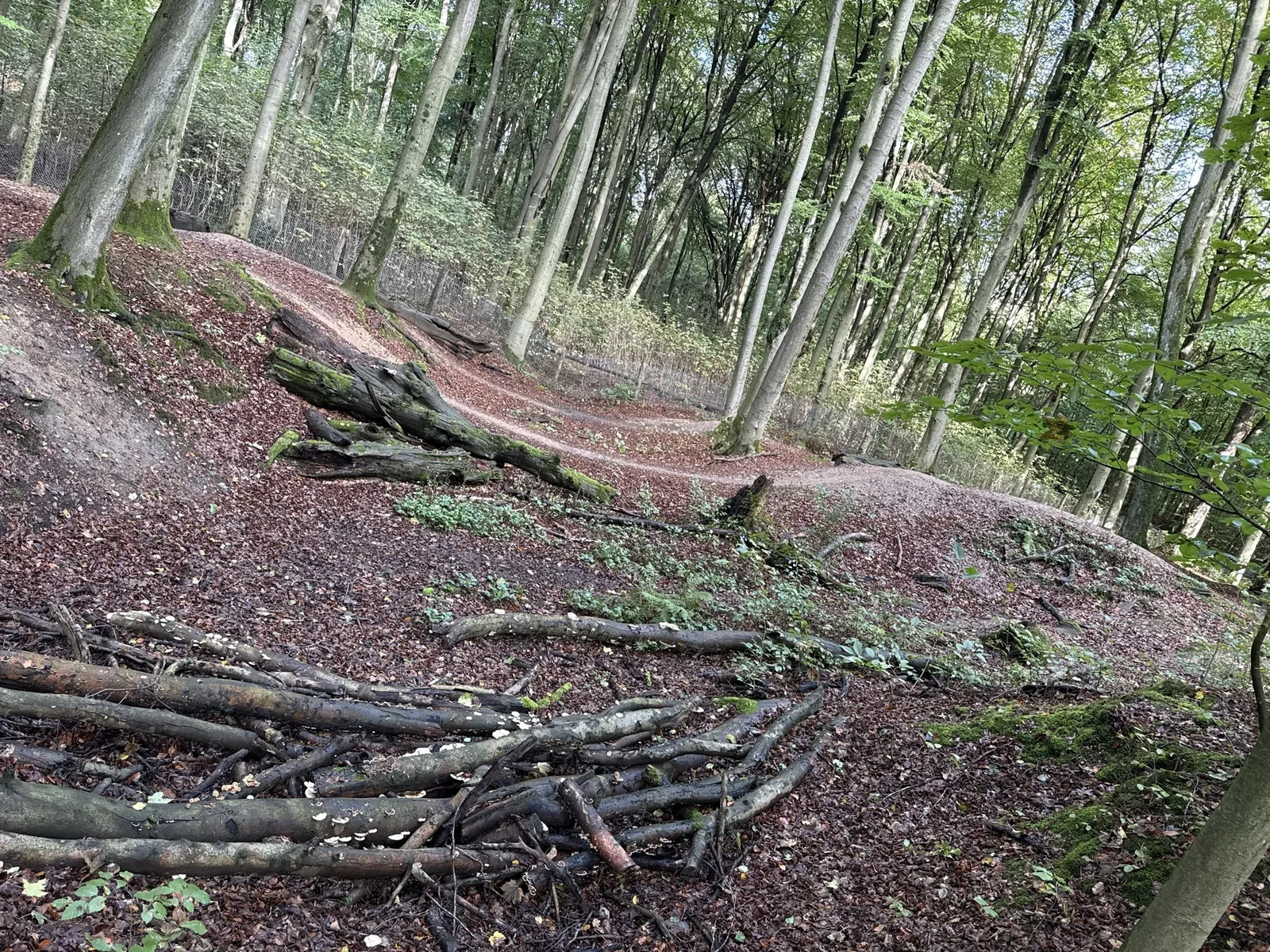 Stregda, Thüringen, Oktober 2026